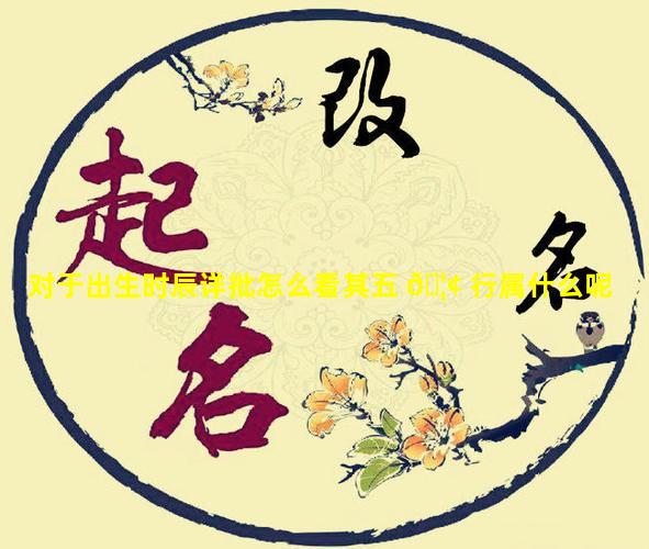对于出生时辰详批怎么看其五 🦢 行属什么呢